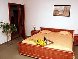 Hotel U Brany Hotel