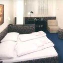 Hotel U Tri Lvu