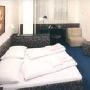Hotel U Tri Lvu