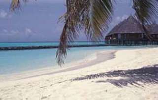 Hotel Velidhu Island Resort