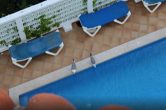 Hotel Vila Recife Residencial