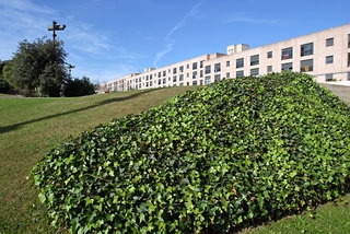 Hotel Vila Uab