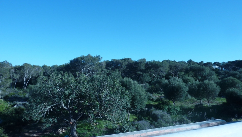 Hotel Villa Primera