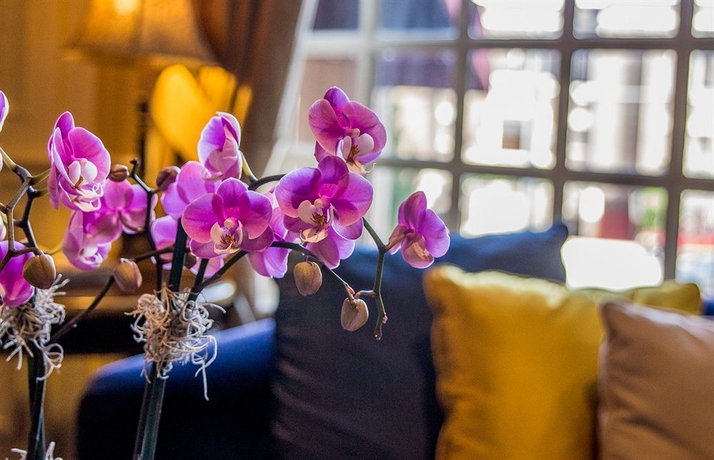 Hotel Warwick Melrose