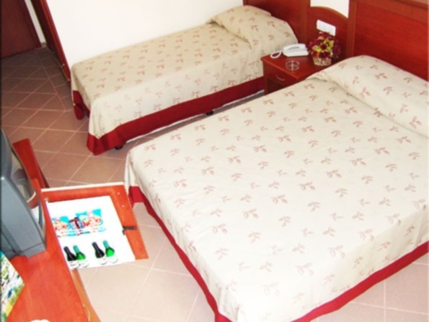 Hotel Wasa